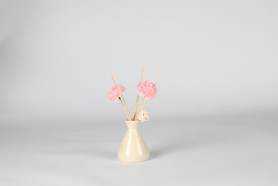 Reed Diffuser non toxique décoratif