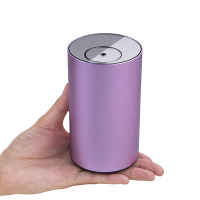 Diffuseur d'odeur de voiture d'alun, parfum d'ambiance pur de voiture de parfum